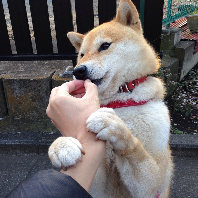 奥亚尔萨瓦尔，欧冠决赛之夜的隐形引擎