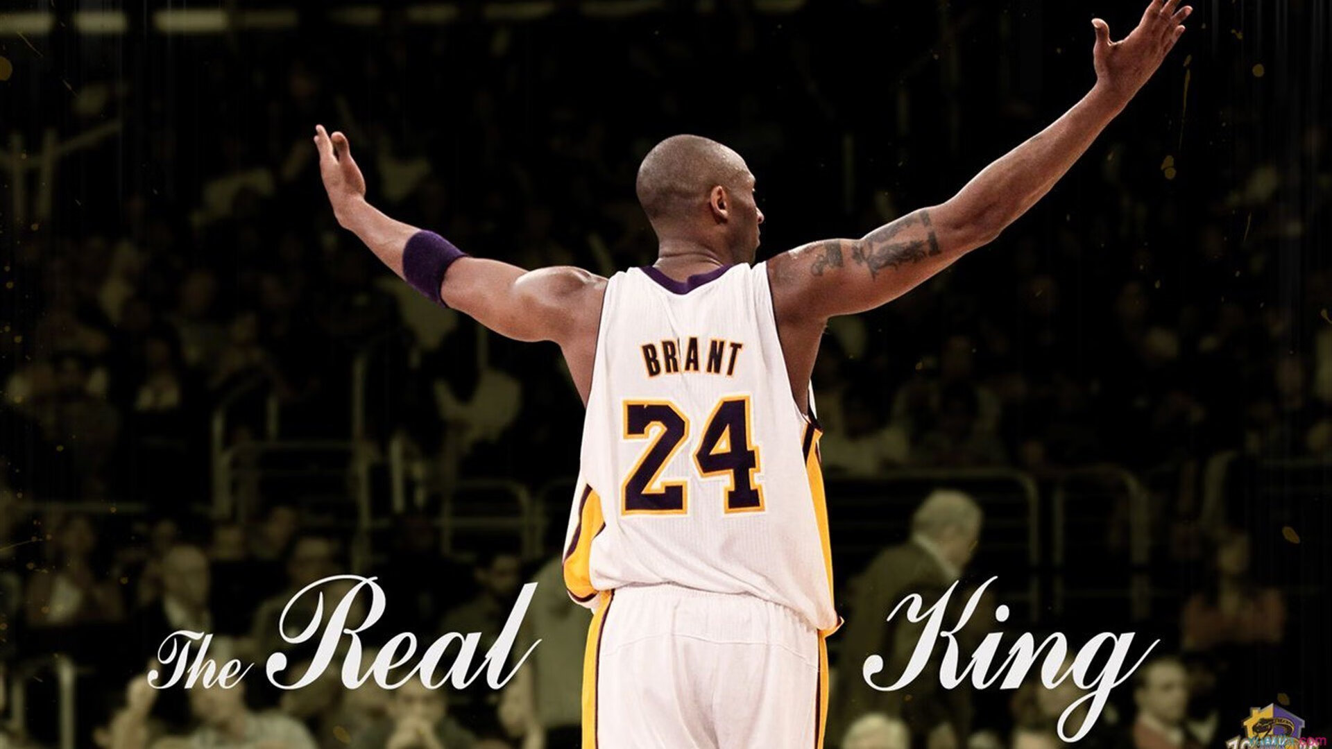 季后赛抢七焦点战，湖人连续得分压制鹈鹕，逆境中绽放的紫金意志